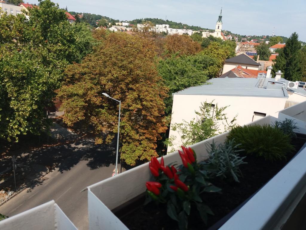 Malnas Macska Apartman Szekszárd Eksteriør billede